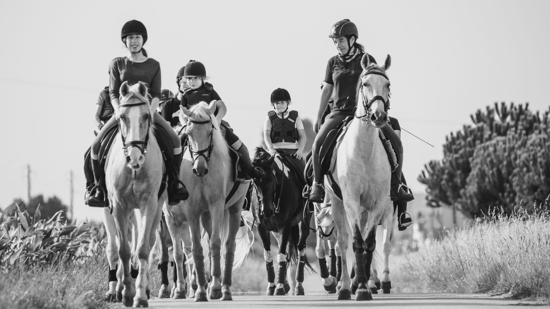 VIANAEQUESTRE - Associação Hípica de Viana do Castelo