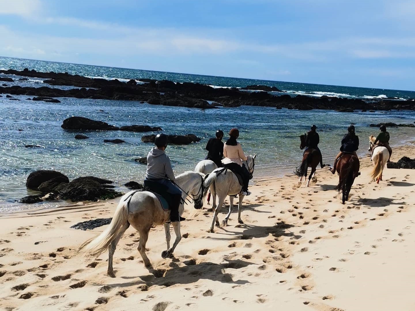 VIANAEQUESTRE - Associação Hípica de Viana do Castelo