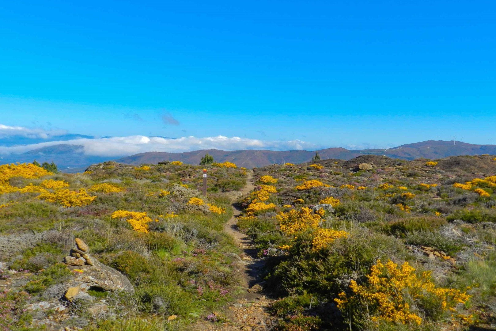 Percurso Equestre da Serra de Arga