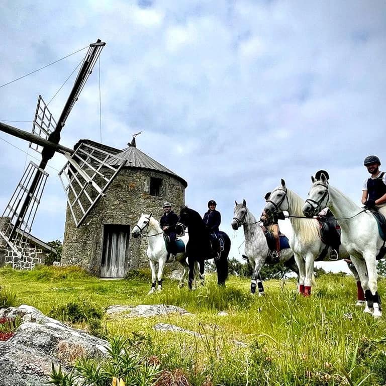 VIANAEQUESTRE - Associação Hípica de Viana do Castelo