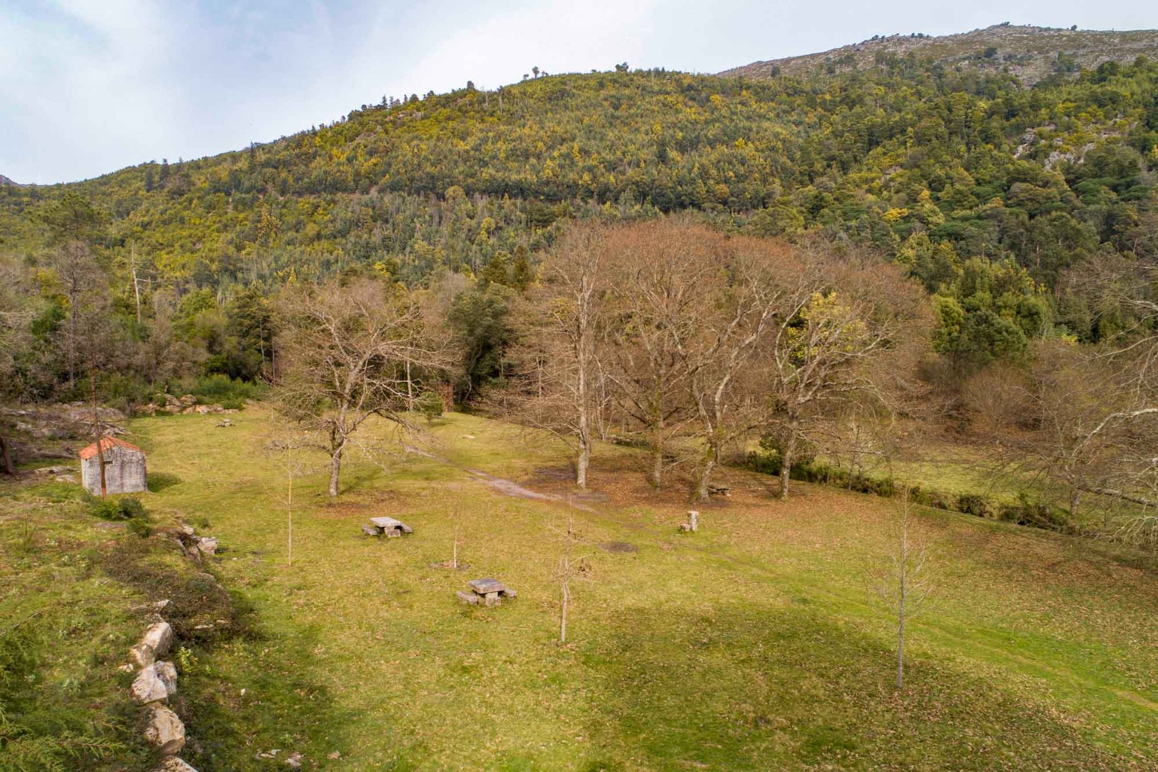 Viveiro Florestal de S. Lourenço da Montaria