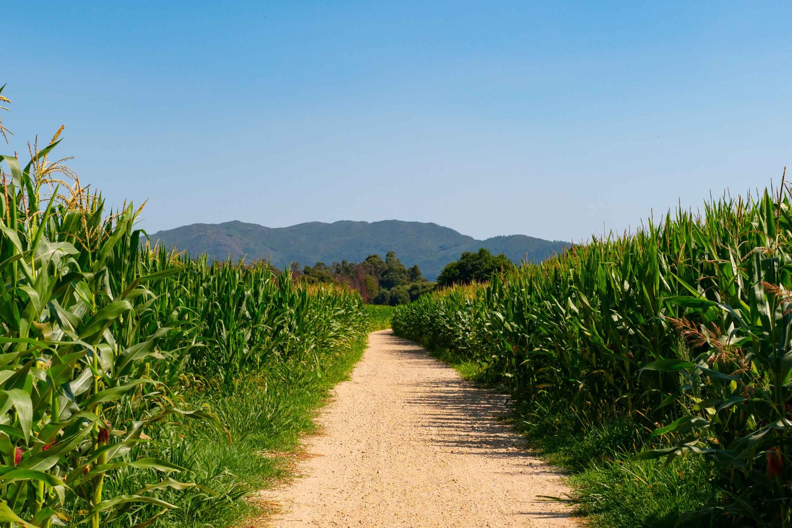 Percurso Equestre do Rio Lima à Serra de Arga