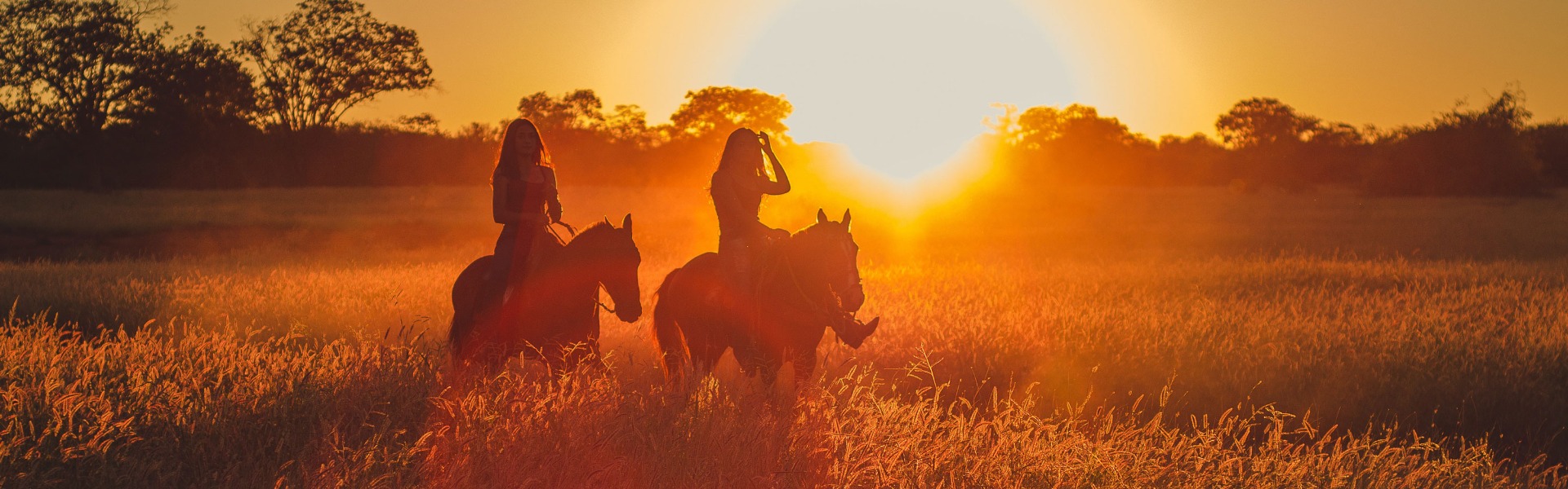 Um Destino Equestre de imersão na natureza, cultura e património!