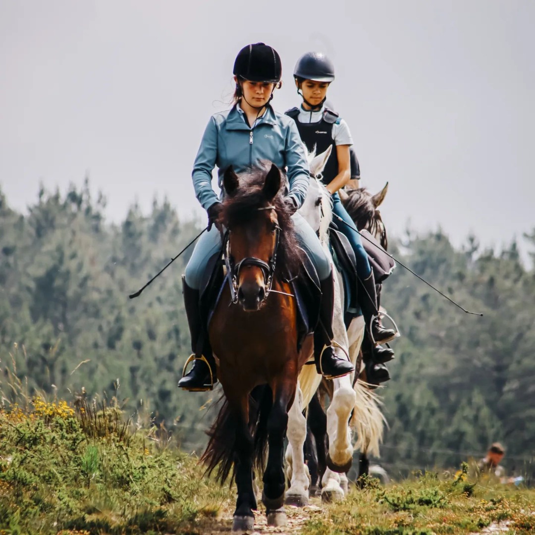 VIANAEQUESTRE - Associação Hípica de Viana do Castelo