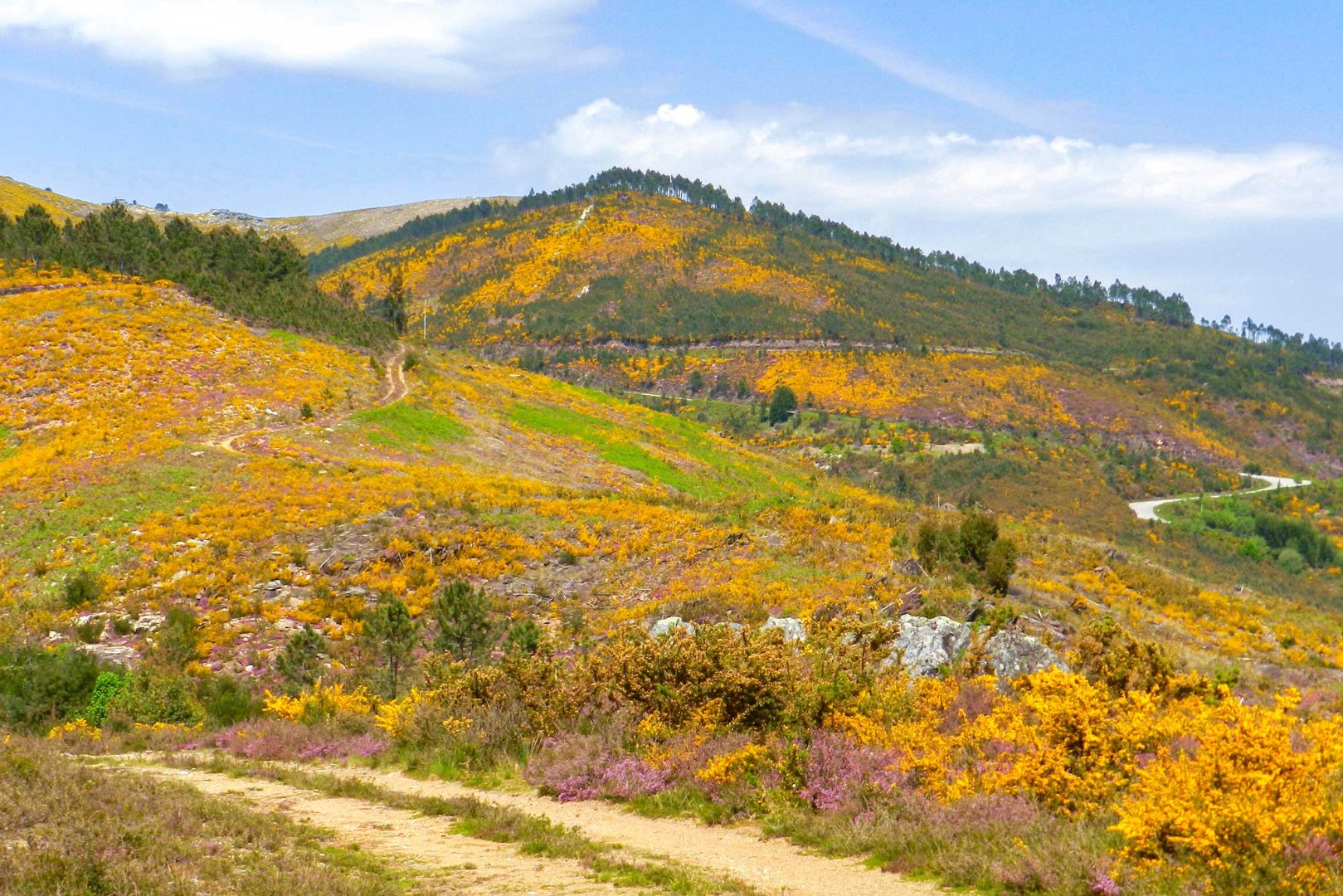 Habitat Rede Natura 2000 