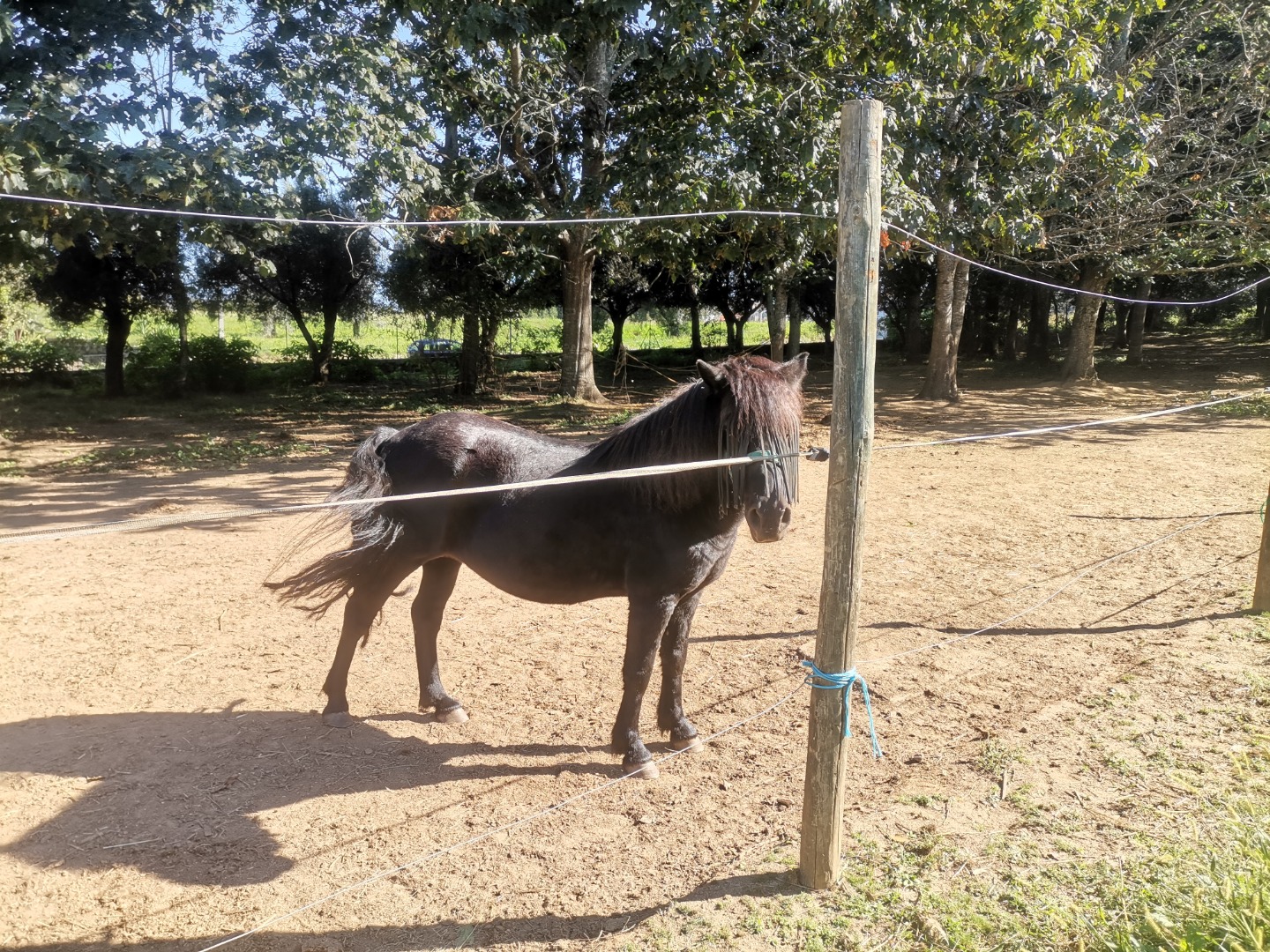 Paço de Lanheses